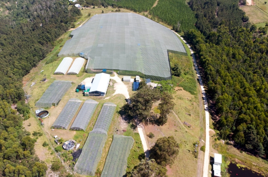Commercial Property for Sale in Sedgefield Rural Western Cape